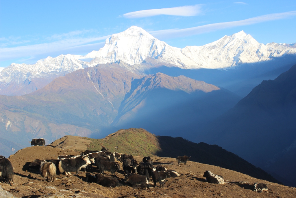 खोप्रालेकबाट देखिएको धौलागिरी हिमाल 